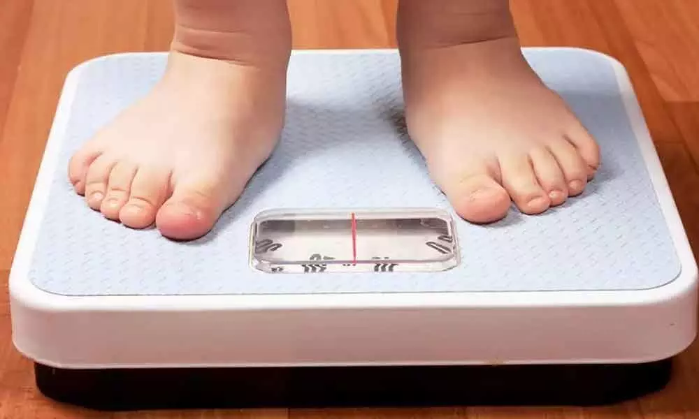 Gut bacteria linked to childhood obesity: Study