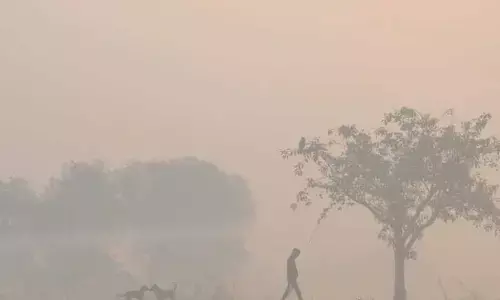 Poor air quality reduces life expectancy of people from North Indian states by up to 7 years