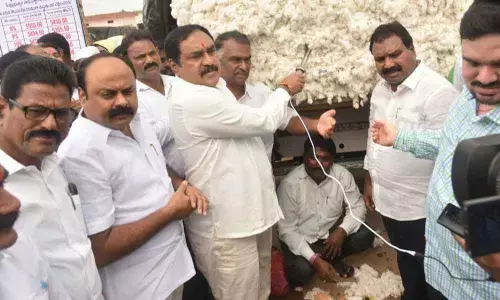 Cotton Corporation begins procurement:  Errabelli Dayakar Rao