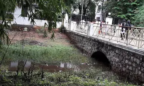Municipal Corporation drain causes inconvenience to SPMVV students