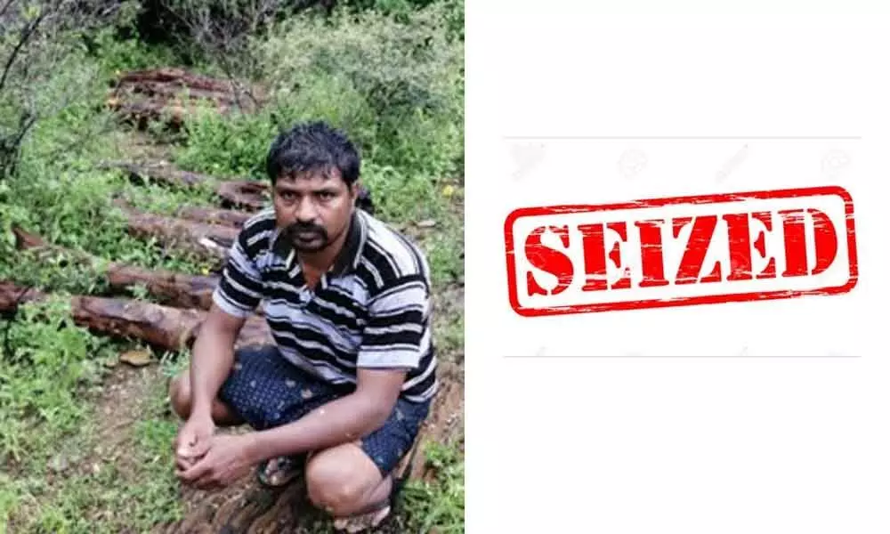14 red sander logs seized, one smuggler held in Kancharla forest