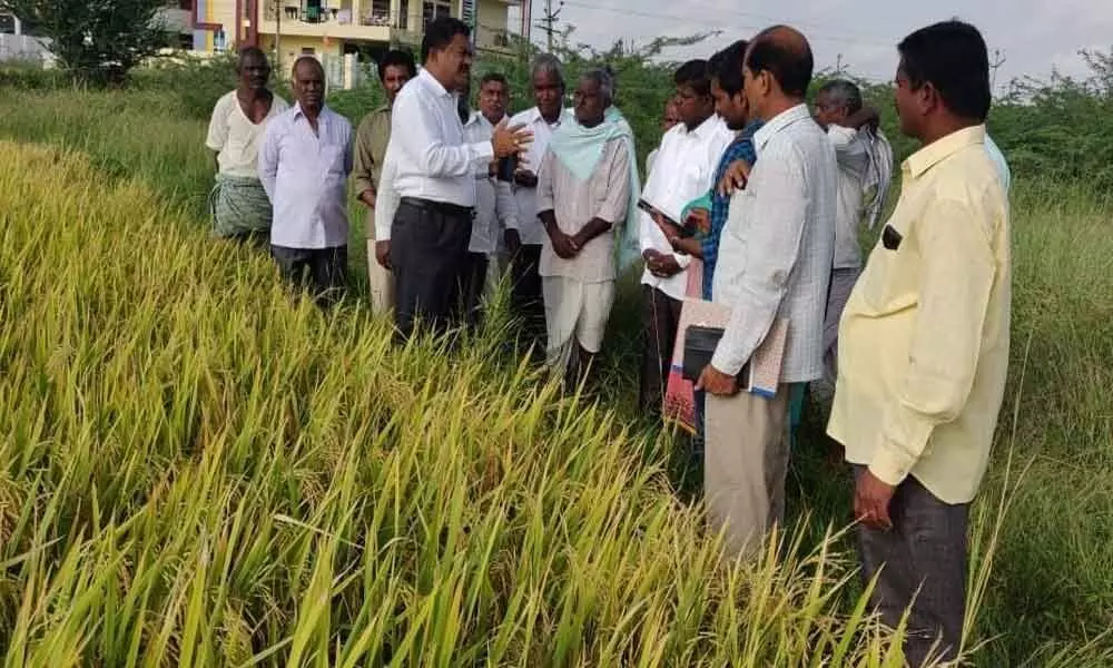 Agriculture offices told to upload info on app to benefit ryots in Patancheru
