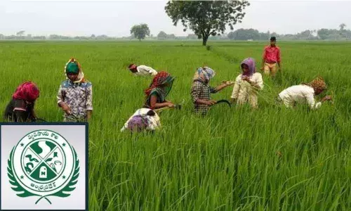 Andhra Pradesh agriculture department allocates funds for deceased farmers families