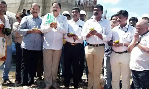 Mega performs Bhoomi Pooja at Polavaram, commence works from Nov 2