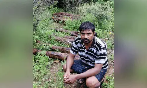 One held, 14 red sanders logs seized in  Kadapa