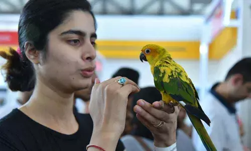 Petex India kicks off in style