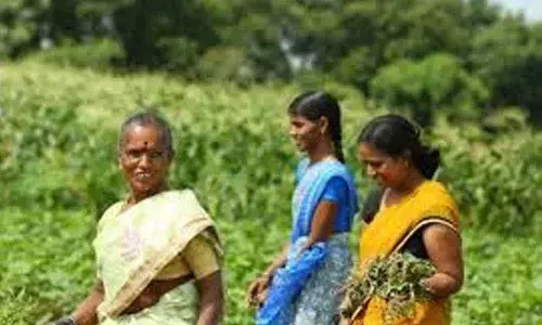 State Womens Commission rudderless for 15 months