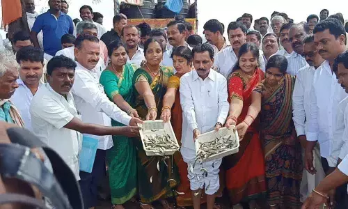 Deverakonda MLA drops fishlings in Gadia Gowraram river in Nalgonda district