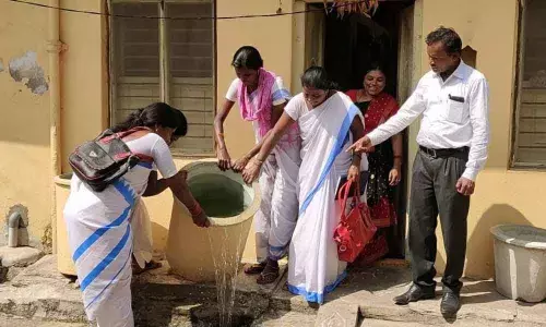 Maintain sanitation in municipalities: Collector