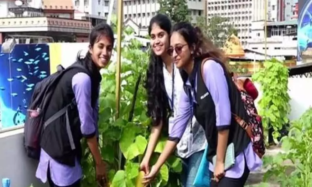 Student takes up terrace gardening to promote greenery