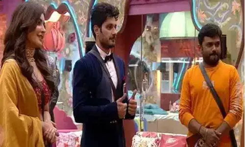 Bigg Boss 3 Telugu: Maruthi & Raashi Khanna Announces Ali Rezas Eviction