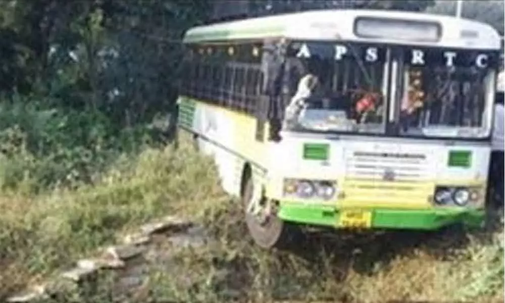 TSRTC bus crashes into forest in Warangal, no casualties