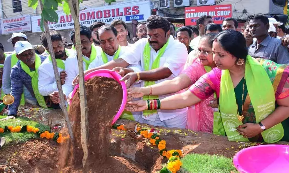 Ministers give a call to plant trees, save nature