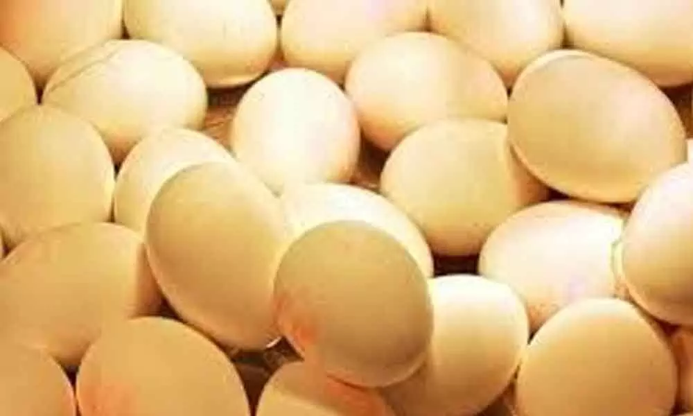 Bizarre challenge for Rs 2,000: Man dies after eating 41 eggs out of 50