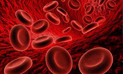 PIO led team 3D-prints living skin with blood vessels