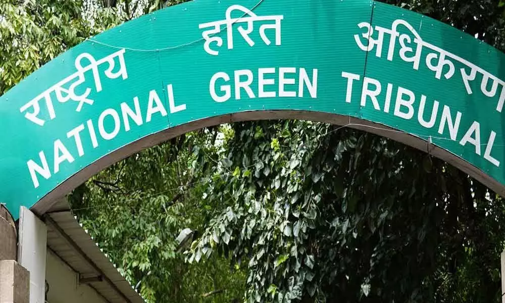 NGT suggests allowance for labourers affected by construction ban in Delhi