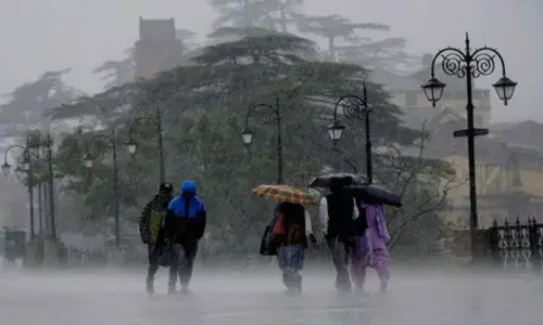 Himachal to get rain, snow this week