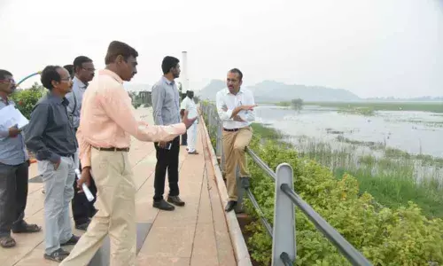Speed up lake beautification: Warangal Urban Collector Prashanth Jeevan Patil