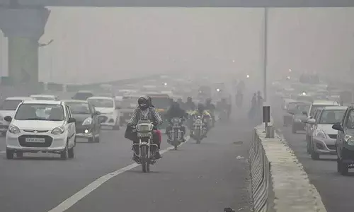 Strong winds reduced impact of highest farm fire count recorded  on Monday: SAFAR