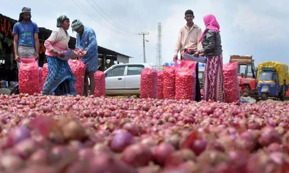 India to facilitate imports for faster and onion supply