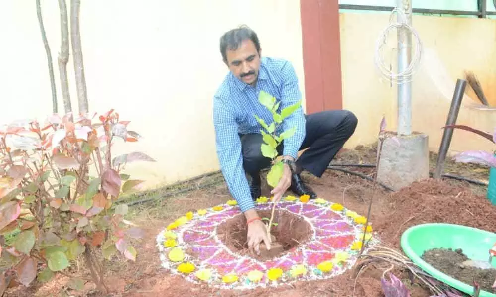 Bhupalpally Collector Vasam Venkateshwarlu accepts green challenge