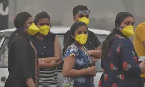 Varanasi temple authorities place air pollution masks on idols