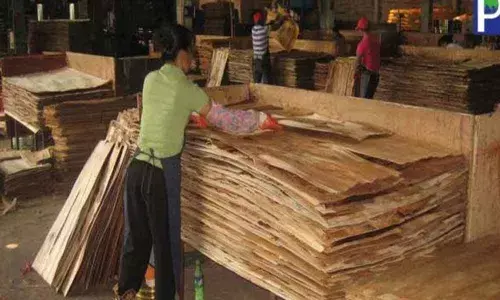 Centre probes alleged export subsidisation on fibreboards