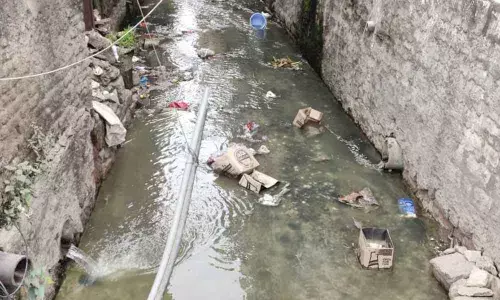 Civic body trashes pleas to clear garbage, set up bins