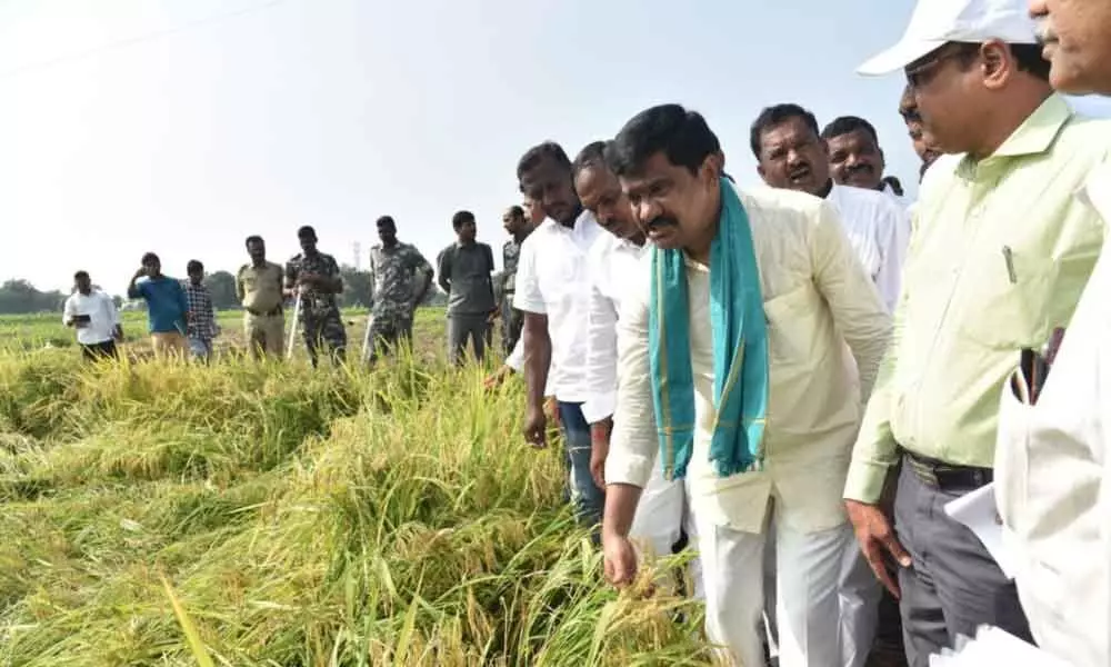 Nizamabad: The government will help farmers, says Prashanth Reddy