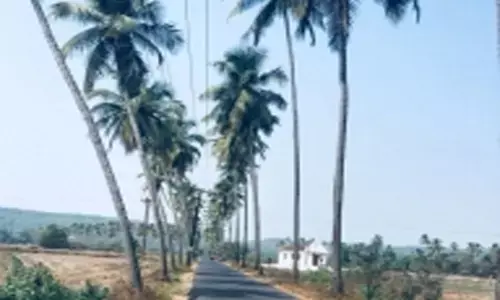 Goa village scraps controversial photography tax for tourists