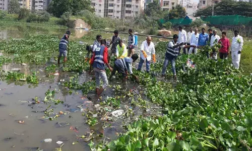 Hyacinth removed from water body