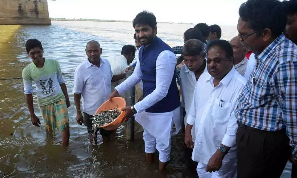 Centre assured support for aqua industry in Godavari districts: MP