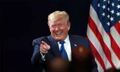 Wholl take on Trump? Democrats in a dilemma