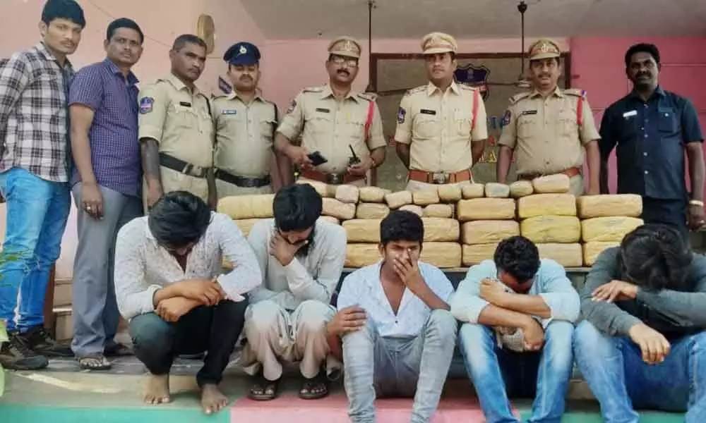 Kothagudem: Police seize 15 lakh worth ganja; 5 held