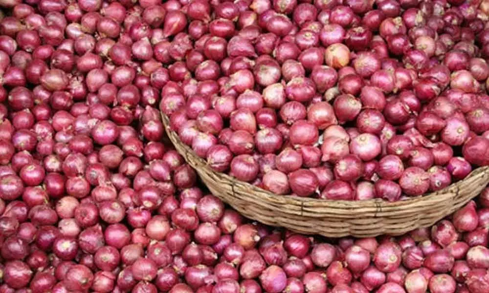New Delhi: MMTC floats tenders to import 4,000 tonnes of onion
