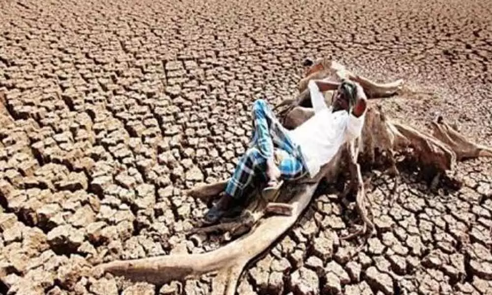 Rajasthan: 1,388 villages from 4 districts declared drought-affected
