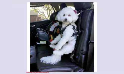 Device to save kids, pets in vehicles developed