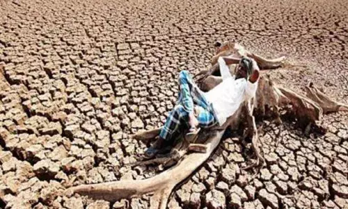 Rajasthan: 1,388 villages from 4 districts declared drought-affected