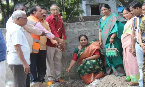 Corporator Cherku Sangeetha Prashanth Goud participates in Haritha Haram drive