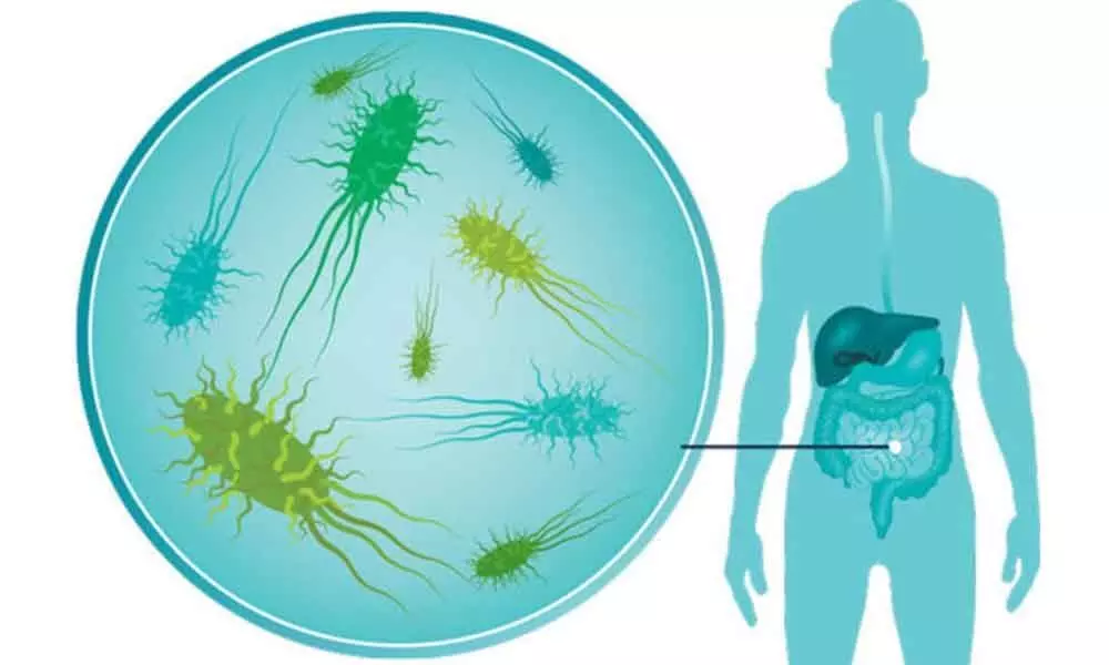 Bacteria in probiotics may cause blood infections