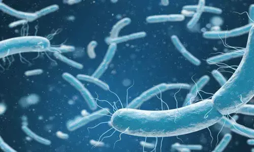 How the immune system gets charged while fighting food poisoning decoded