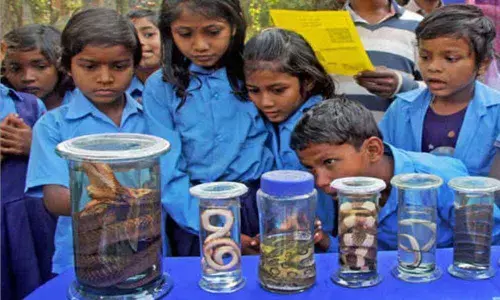 Chapter on snakes to be introduced in West Bengal secondary curriculum