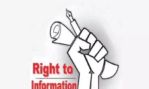 Activists hail Supreme Court decision