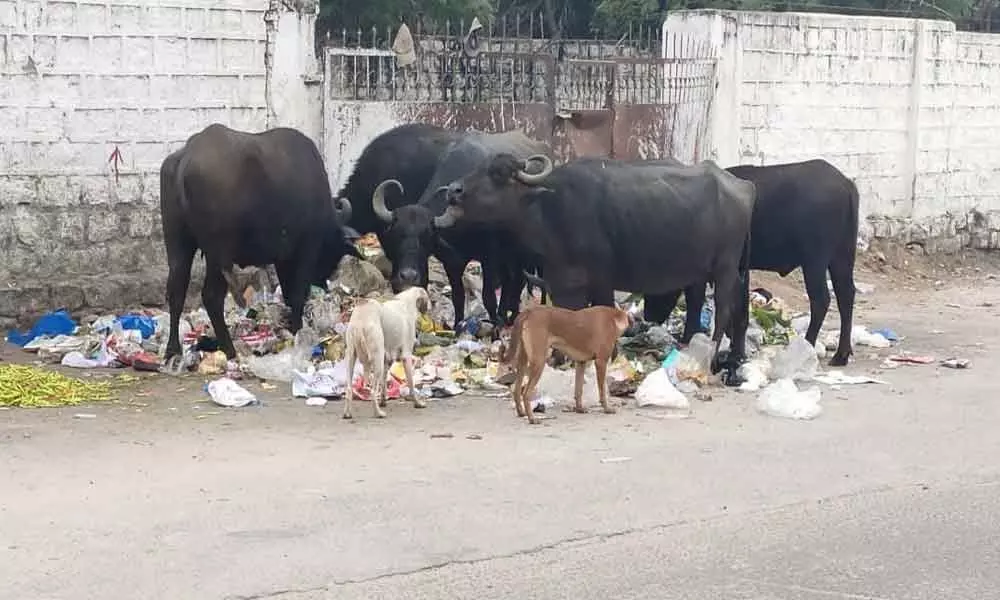 Garbage bins overflowing at Malkajgiri