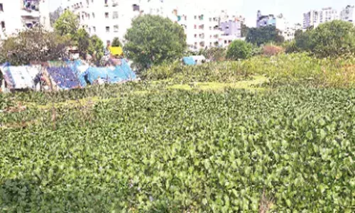 Ramanthapur Cheruvu in pathetic condition