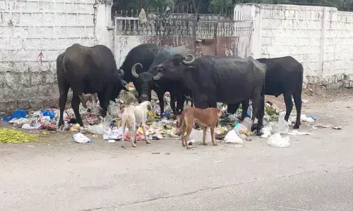 Garbage bins overflowing at Malkajgiri