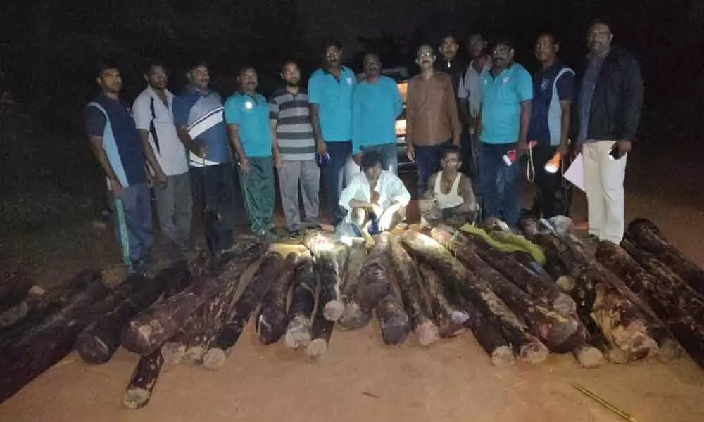 RSATSF personnel arrest two TN smugglers, seize 45 RS logs in Tirupati