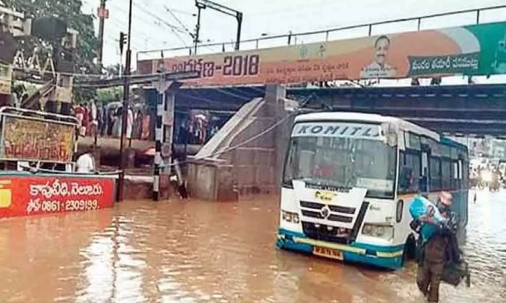 Heavy rains lash Nellore district