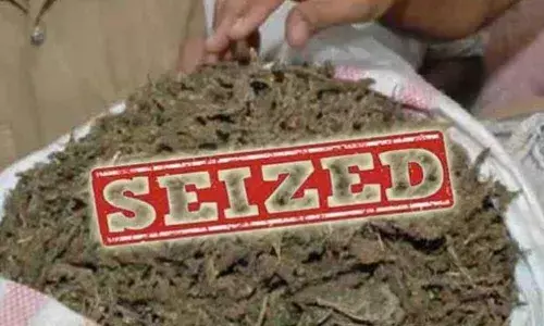 Guntur: 15 kg ganja seized during vehicle checking, smugglers arrested