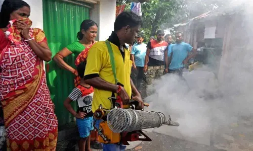 UP: Dengue cases increase in the state, preventive measures prove futile